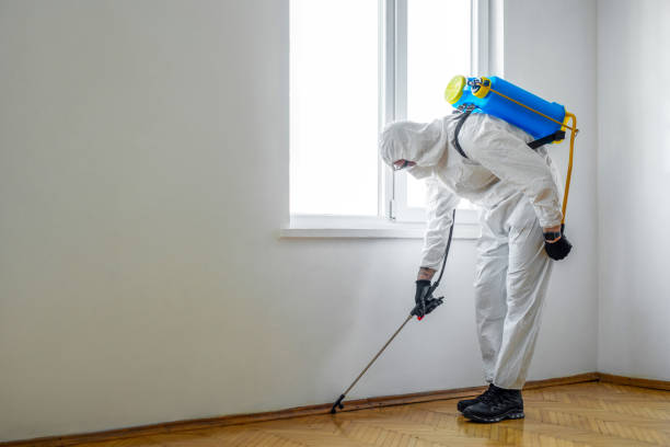Best Pest Inspection Near Me  in Alton, TX