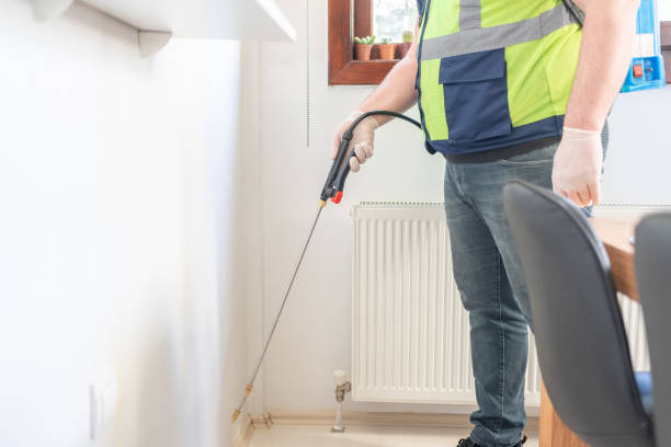 Best Bed Bug Extermination  in Alton, TX