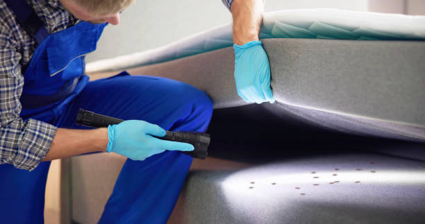 Best Affordable Pest Control Services  in Alton, TX